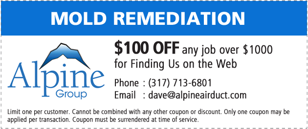 Indianapolis-Mold-Removal-Remediation-Coupon